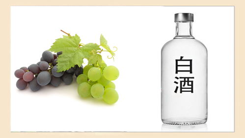 酒桌上“千杯不倒”的秘密，快來(lái)看看你知道幾個(gè)